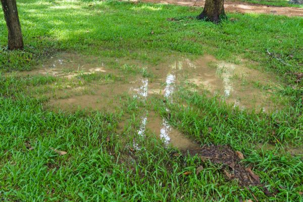 Cost of Storm Water Drainage Service in Greensburg