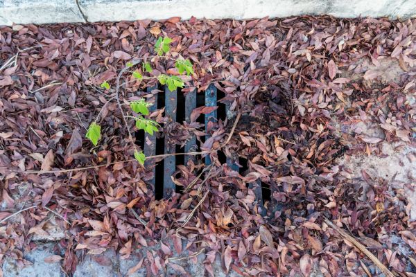 Cost of Yard Drain Unclogging in Greensburg