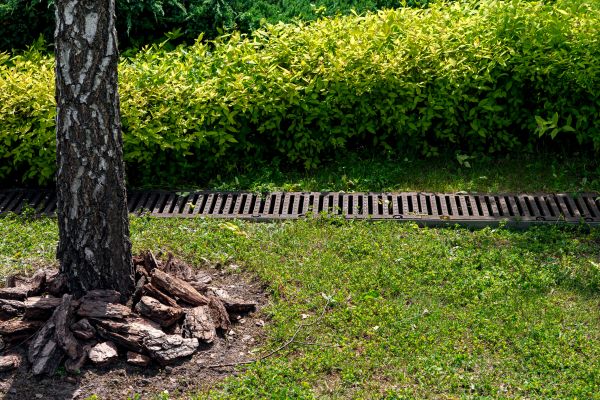 Cost of Wet Yard Drainage in Greensburg
