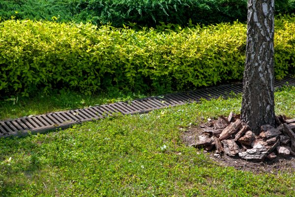 Cost of Residential Landscape Drainage in Greensburg