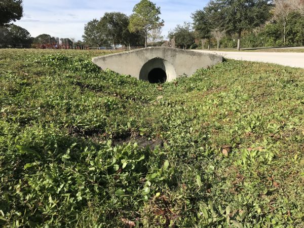 Cost of Swale Drainage Service in Greensburg